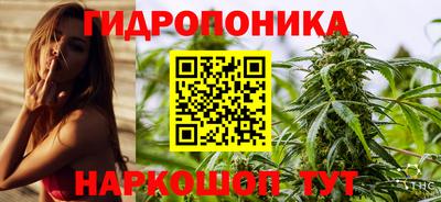 ПСИЛОЦИБИНОВЫЕ ГРИБЫ Гатчина